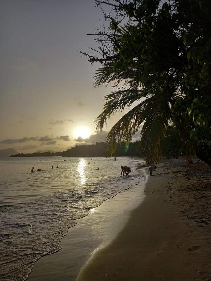 Studio Des Flots - Tartane Martinique La Trinité Eksteriør bilde