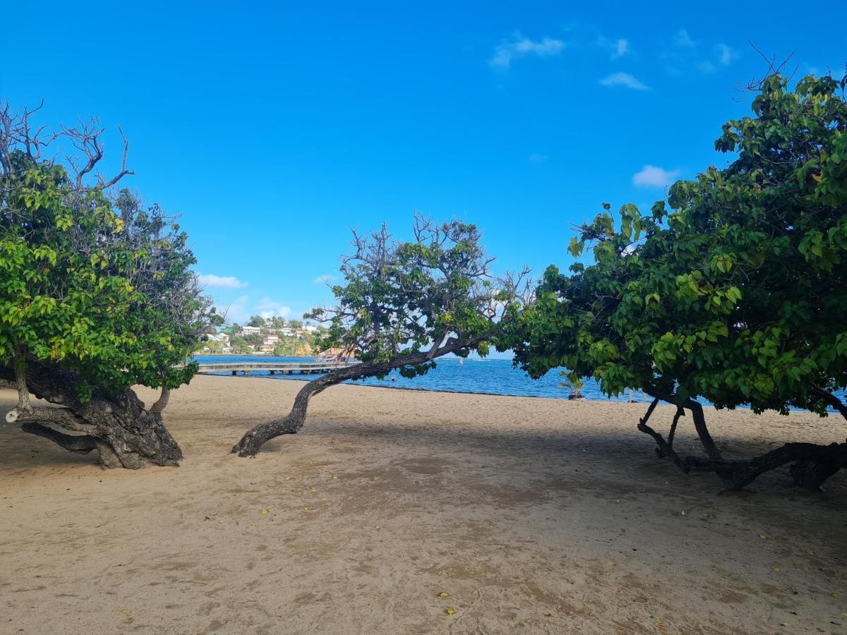 Studio Des Flots - Tartane Martinique La Trinité Eksteriør bilde
