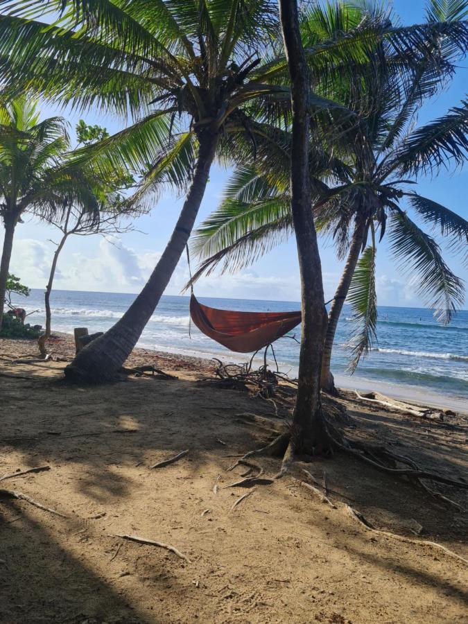 Studio Des Flots - Tartane Martinique La Trinité Eksteriør bilde