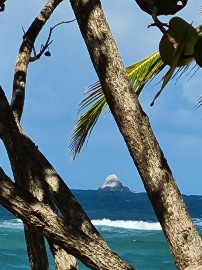 Studio Des Flots - Tartane Martinique La Trinité Eksteriør bilde