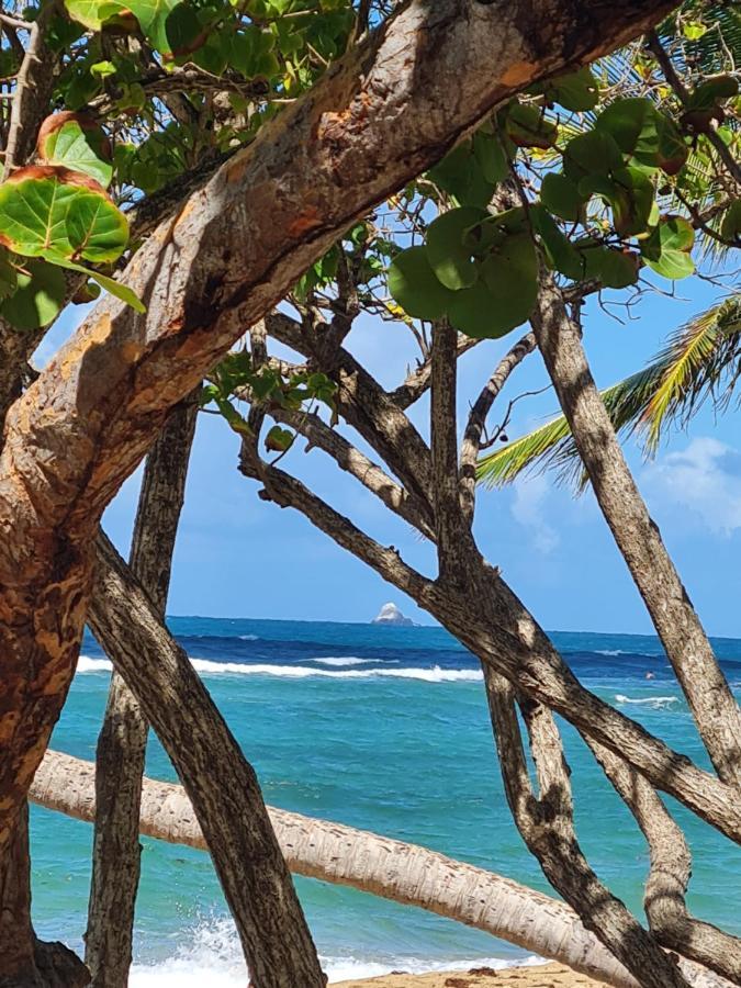 Studio Des Flots - Tartane Martinique La Trinité Eksteriør bilde